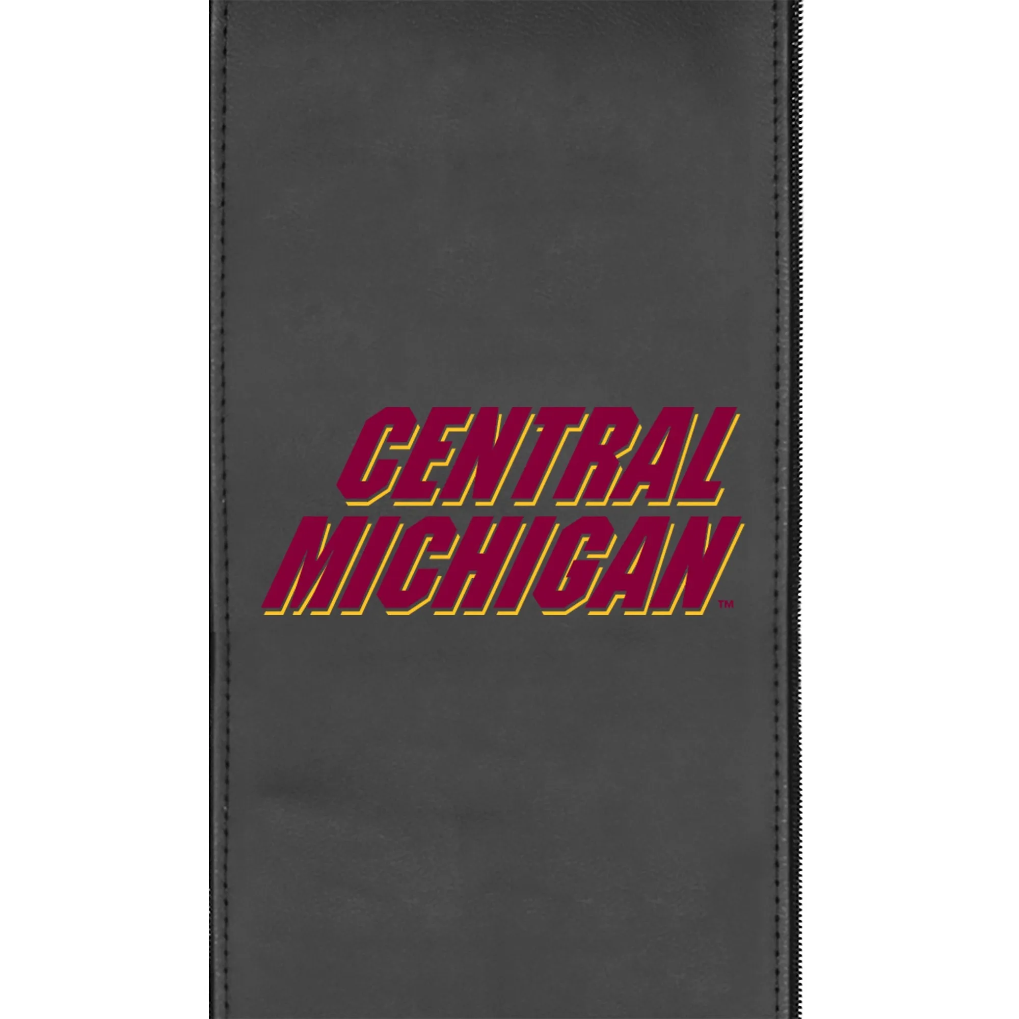 Logo Panel with Central Michigan Secondary